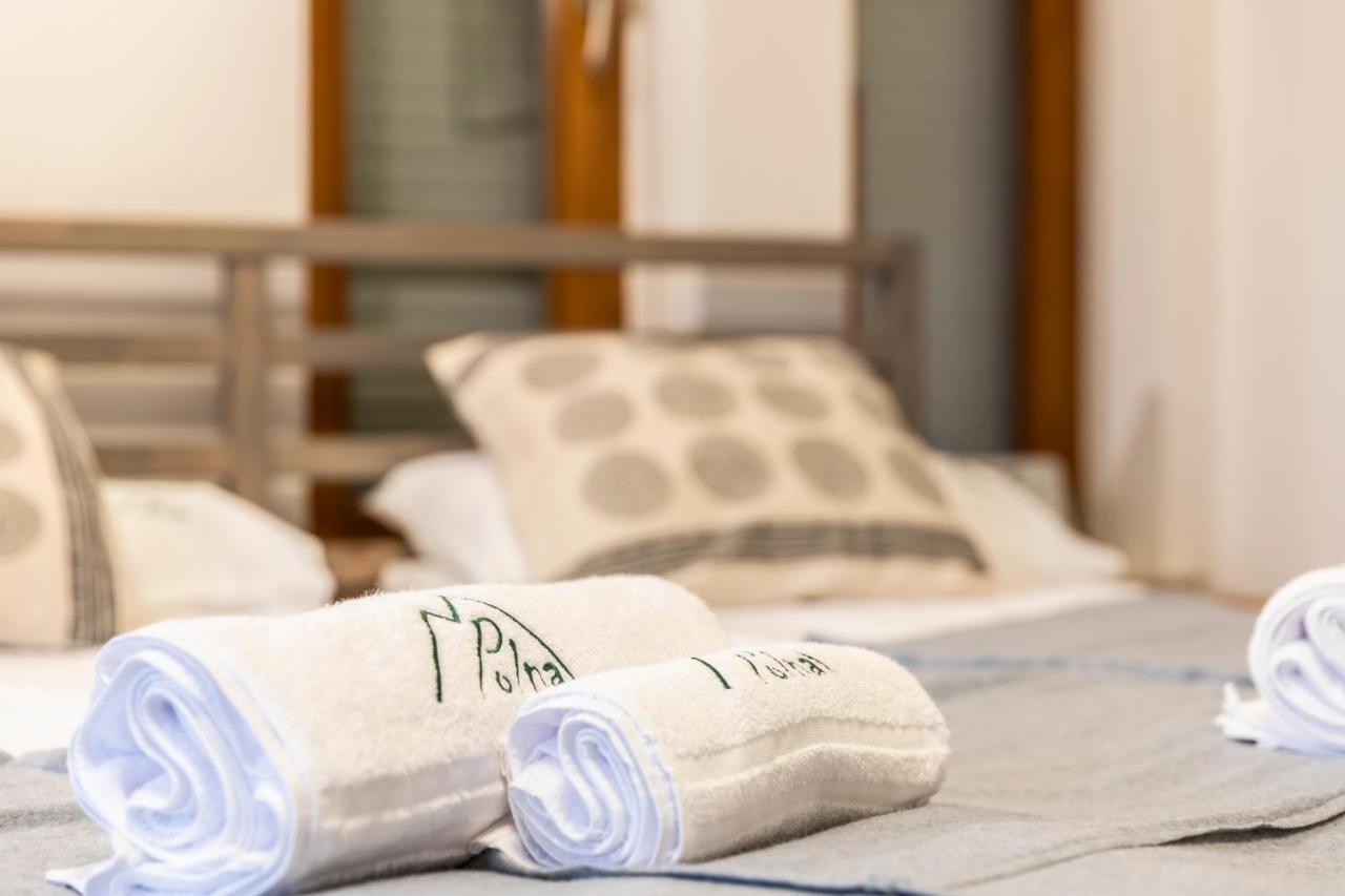 Apartament Polna ザコパネ エクステリア 写真